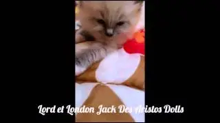 Lord et London Jack Des Aristos Dolls