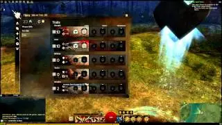 Guild Wars 2: Warrior PvE Leveling and High Crit Build Guide