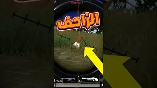 #ترند #pubgmobile #ببجي_موبايل #ببجي_العراق #ترندات_جديدة #سكنات_مجانية #ببجي_العرب #ترند_اليوم #fyp