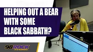 How to Save a Bear: Assisted by Black Sabbath