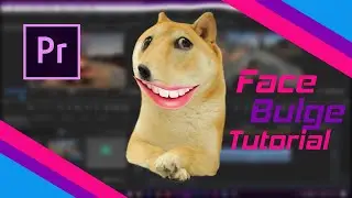 Cara Edit Video melembung MEME | Adobe Premiere Pro