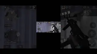 играю на аккаунте своего попугая прокачиваю его немного