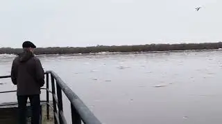 Ледоход Сев Двина 09 04 24