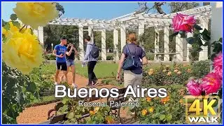 【4K】WALK Buenos Aires Travel ARGENTINA 4K video ROSE GARDEN