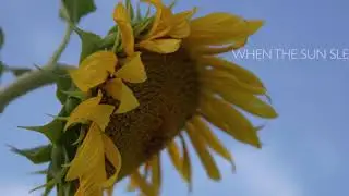 WHEN THE SUN SLEEPS - Canon C500 mk ii test footage