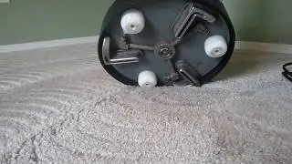 Carpet Cleaning Grime Scene in sarasota