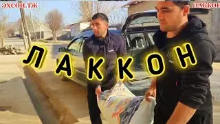 ЭХСОННИНГ мукофоти фақат ЭХСОНДИР. 