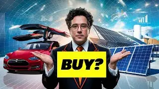 Tesla Stock TSLA: A February 15, 2024 Close-up