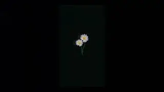BEAT KOSONG _ Falling Down
