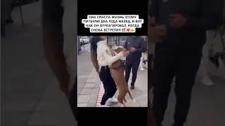 СОБАКА УЗНАЛА СВОЮ СПАСИТЕЛЬНИЦУ СПУСТЯ ДВА ГОДА