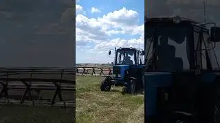 Сенокос 2022. Косим лиманое сено жаткой Дон-мар. МТЗ-80.