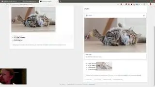ReactJS #41 - Вернулся к выбору SlateJS, как лучшей альтернативе DraftJS (в моменте)