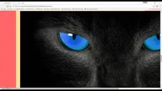 9  Creating a Image Gallery