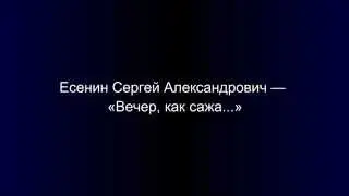Есенин Сергей Александрович — «Вечер, как сажа...»