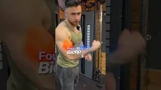 4 min BICEP exercise! 💪🏽🔥 #bicepsworkout #armsworkout #gymmotivation #fitnessmotivation
