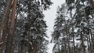 Декретные будни