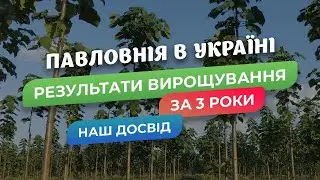 Павловнія в Україні. Результати роботи за три роки.