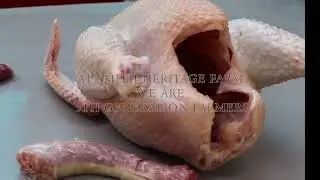 Ethical Confinement Free Pastured Chicken
