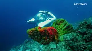Личная субмарина, стоимостью 600 тысяч долларов. Вот как она выглядит