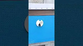 как определить что матка в отводке  обьлетелась