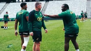 Springboks up close / Training day