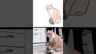 Drawings of Meme Cats - Funniest Animals 2023