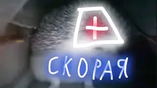 Ежик чихнул, скорая в пути