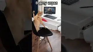 #youtube #популярное #актив #cat #школа #нееееет 🔥💯😜