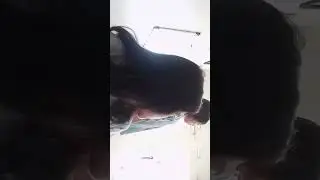 yg belakang jangan ngobrol