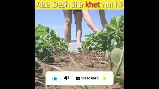 ऐसा कौन सा देश है जहाँ पर एक भी खेत नहीं है?Country without farmers #shorts #facts #ytshorts
