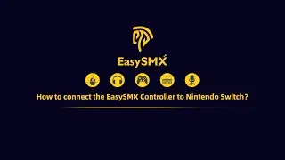 Tutorial: How to connect Controller to Nintendo Switch