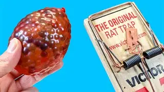EXPÉRIENCE TRAPPE À RAT vs BALLON ORBEEZ - Vidéo satisfaisante