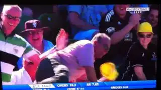 Somerset vs Glamorgan: fielding of the century