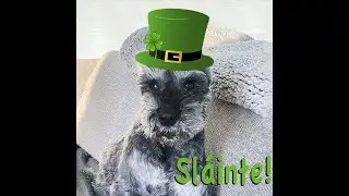 St Patrick's Day MashUp
