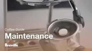 The Bambino® Plus | A 9-step guide to performing a cleaning cycle | Breville USA