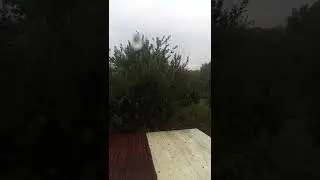 Подпишитесь! давайте добьем 100 подписчиков