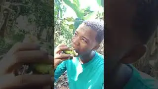 EL CANDONGO ES LAS MEJOR FRUTAS Y TA EN PELIGRO DÉ EXTINCIÓN