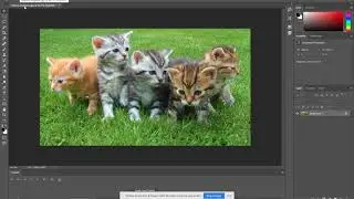 PSTuts1, Resizing Images in Photoshop CC 2018