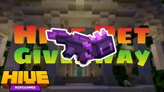 Hive Pets & Costume GIVEAWAY!