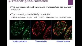 174-Transcriptomes & Chromatin Remodeling