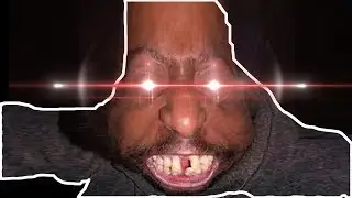 i shot my cat in the leg