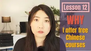 Learn Chinese for beginners | Lesson 12: 20 Chinese sentences with Chinese characters