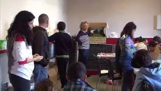 Dia 1: "Una Navidad de Arte"