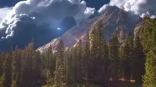 The Fall