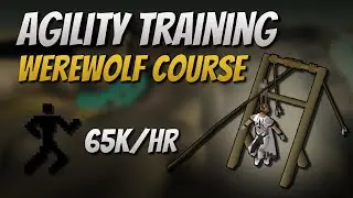 Werewolf Course Agility [65K EXP/Hr]