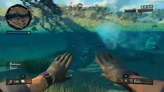 Call of Duty Black Ops 4 Blackout Beta GTX 1070