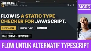 Memulai Menggunakan Flow untuk Alternatif Typescript | Dev Insight | Mau Coding