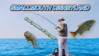 The BEST Fishery in the COUNTRY‼️-  St Lawrence River. . .  Last TOURNAMENT of the SEASON