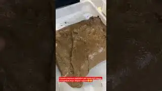 РЖАНЫЕ ПАРБЕЙКИ🤫🤫