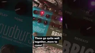 // Brigburst // A match made in heaven! @strymon 
